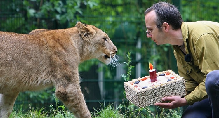 Zoologischer Garten Eberswalde Gutschein 2 Fur 1 Coupon Rabatt