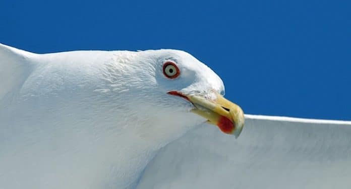 Reise Gewinnspiel Nordsee Gewinnspiel Reise Gewinnspiel Nordsee Gewinnspiel