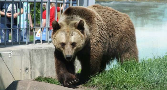 Tierpark Bad Kösen Gutschein 2 für 1 Coupon Ticket