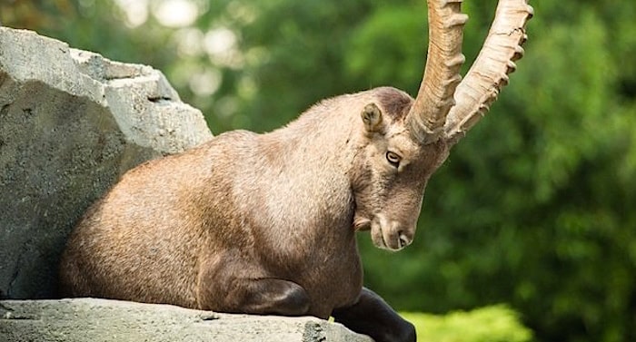 Haus Natur Und Umwelt Im Fez Wuhlheide Gutschein 2 Fur 1 Rabatt