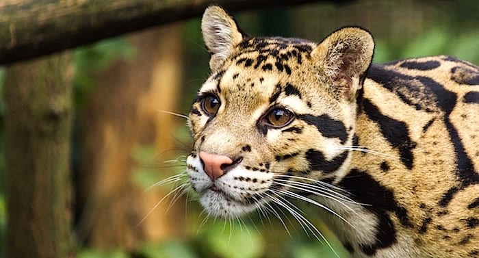 Zoo Dortmund Gutschein 2 für 1 Coupon