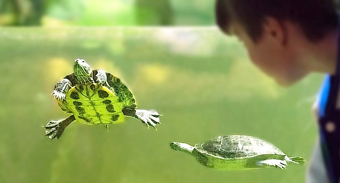 Meeresaquarium Sonneberg Gutschein 2 für 1 Coupon