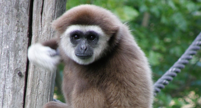 Tierpark Weißwasser Gutschein 2 für 1 Coupon