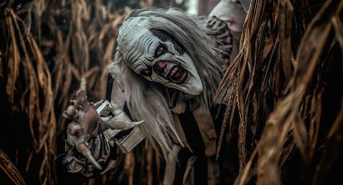 Grusellabyrinth NRW Gutschein Halloween Grusellabyrinth NRW Gutschein Halloween