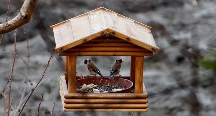 Weltvogelpark Walsrode