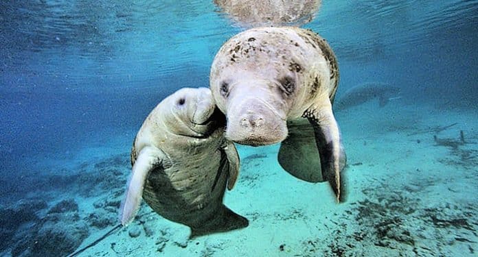 VisitFlorida Reise Gewinnspiel VisitFlorida Reise Gewinnspiel