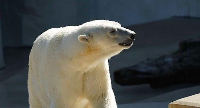 Zoo Karlsruhe Gutschein Zoo Karlsruhe Gutschein