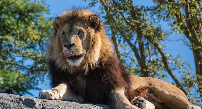 Wildlands Zoo Emmen Wildlands Zoo Emmen