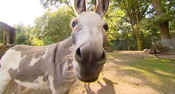 Ausflugsziele Hessen 14 Tagesausflge Und Ideen Fr Kurzurlaub Ausflugsziele Hessen 14 Tagesausflge Und Ideen Fr Kurzurlaub
