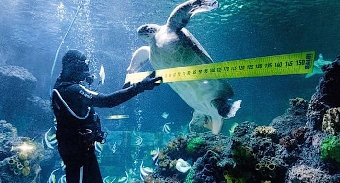 Sea Life München