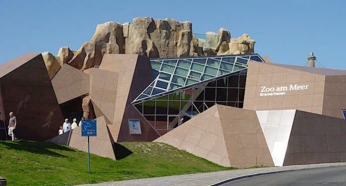 Zoo am Meer Bremerhaven Bewertung Zoo am Meer Bremerhaven Bewertung