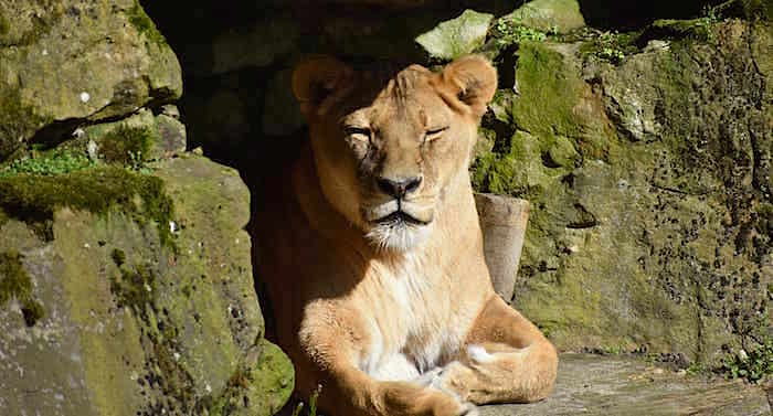 Allwetterzoo Münster