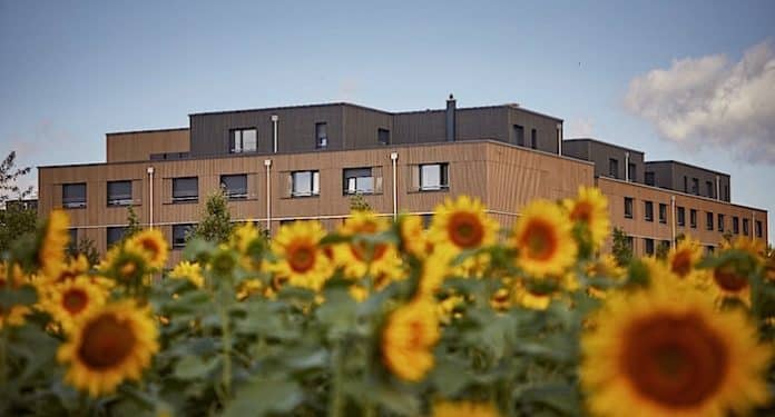 Europa-Park Campus Mitarbeiter Wohnungen Europa-Park Campus Mitarbeiter Wohnungen