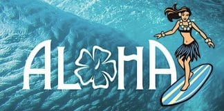Aloha Waveland: Surfpark und Südseeparadies in Würzburg geplant