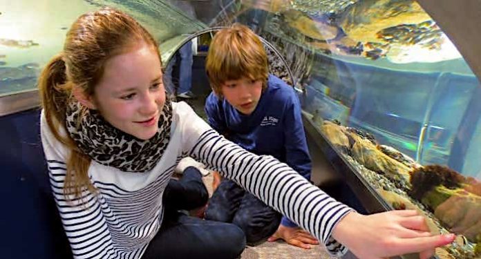 Multimar Gewinnspiel: Wochenende an der Nordsee kostenlos gewinnen Multimar Gewinnspiel: Wochenende an der Nordsee kostenlos gewinnen