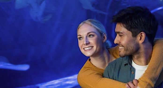 Biscoff Keks Freizeitspaß Freizeitpark 2 für 1 Gutschein Saison 2021 Biscoff Keks Freizeitspaß Freizeitpark 2 für 1 Gutschein Saison 2021