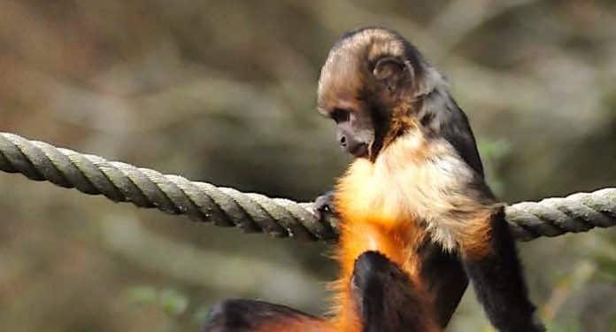 Allwetterzoo Münster: Rekordspende in Höhe von 750.000 Euro Allwetterzoo Münster: Rekordspende in Höhe von 750.000 Euro
