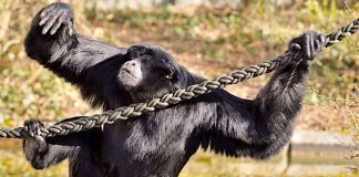 Hellabrunn: Tierpark muss wegen Corona ab Ostern 2021 wieder schließen