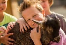 Erlebnis-Zoo Hannover: Rabatt Sommer 2021 für Kinder und Gruppen
