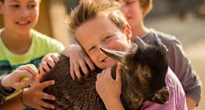 Erlebnis-Zoo Hannover: Rabatt Sommer 2021 für Kinder und Gruppen Erlebnis-Zoo Hannover: Rabatt Sommer 2021 für Kinder und Gruppen