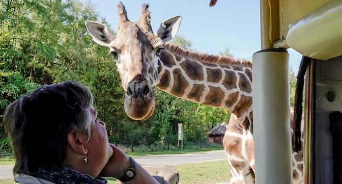 Serengeti-Park Gutschein Ticket und Übernachtung mit 35 Euro Rabatt Serengeti-Park Gutschein Ticket und Übernachtung mit 35 Euro Rabatt