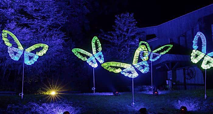 Eifelpark: Veranstaltung „Eifelpark Leuchten“ im Herbst 2021
