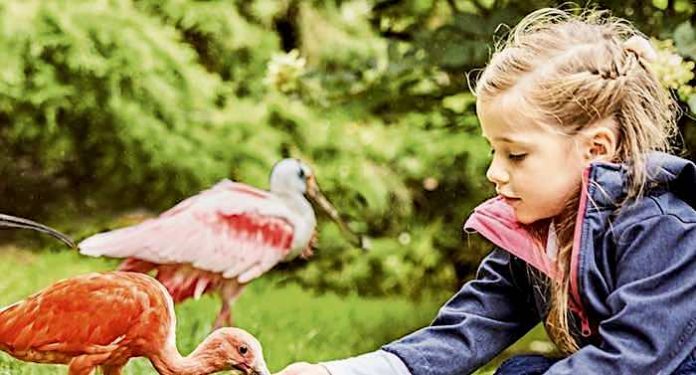 Weltvogelpark Walsrode Gutschein Saison 2021 mit 27 Prozent Rabatt Weltvogelpark Walsrode Gutschein Saison 2021 mit 27 Prozent Rabatt
