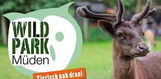 Wildpark Müden Gutschein mit 25 Prozent Rabatt Saison 2021 2022