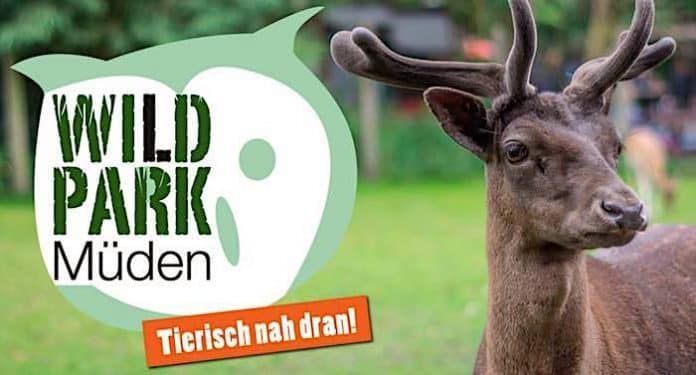 Wildpark Müden Gutschein mit 25 Prozent Rabatt Saison 2021 2022