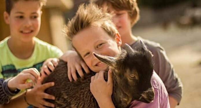 Erlebnis Zoo Hannover: Ausgezeichnet als familienfreundlichster Zoo Deutschlands Erlebnis Zoo Hannover: Ausgezeichnet als familienfreundlichster Zoo Deutschlands