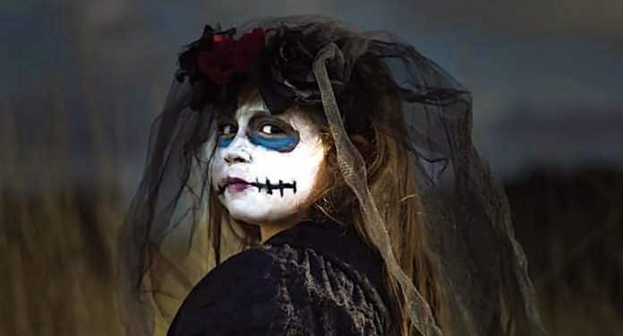 Freizeitpark Liseberg: Halloween 2021 mit fünf Horror-Labyrinthen Freizeitpark Liseberg: Halloween 2021 mit fünf Horror-Labyrinthen