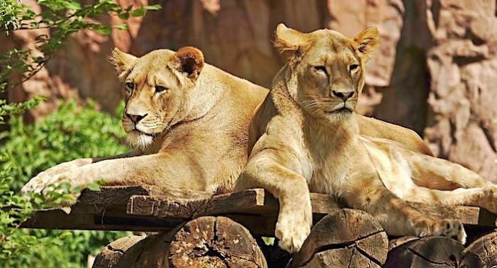 ZOOM Erlebniswelt: Privatperson vererbt Zoo mehr als 120.000 Euro ZOOM Erlebniswelt: Privatperson vererbt Zoo mehr als 120.000 Euro