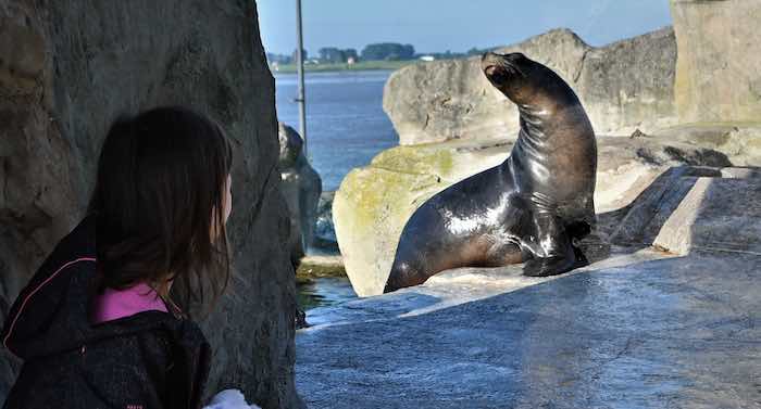 Zoo am Meer: Exklusive Führungen im Sommer 2022