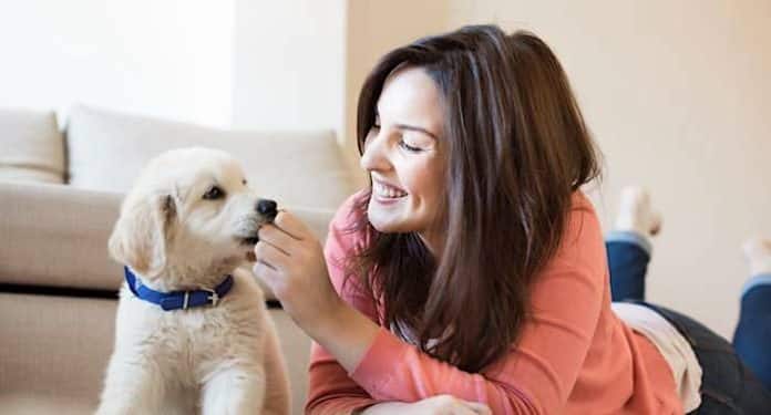 Ein Herz für Tiere Gewinnspiel: Urlaub mit Hund kostenlos gewinnen