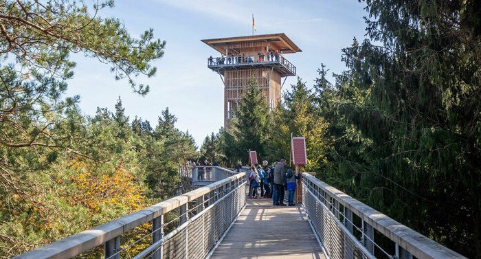 Baumwipfelpfad Heide Himmel Gutschein mit 50 Prozent Rabatt