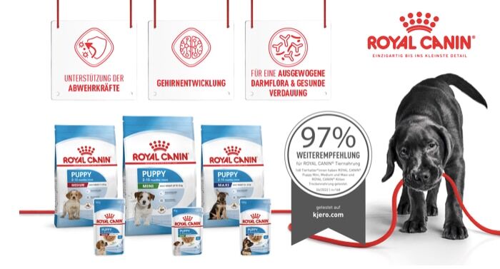 Royal Canin verschenkt Welpen-Box für Hunde