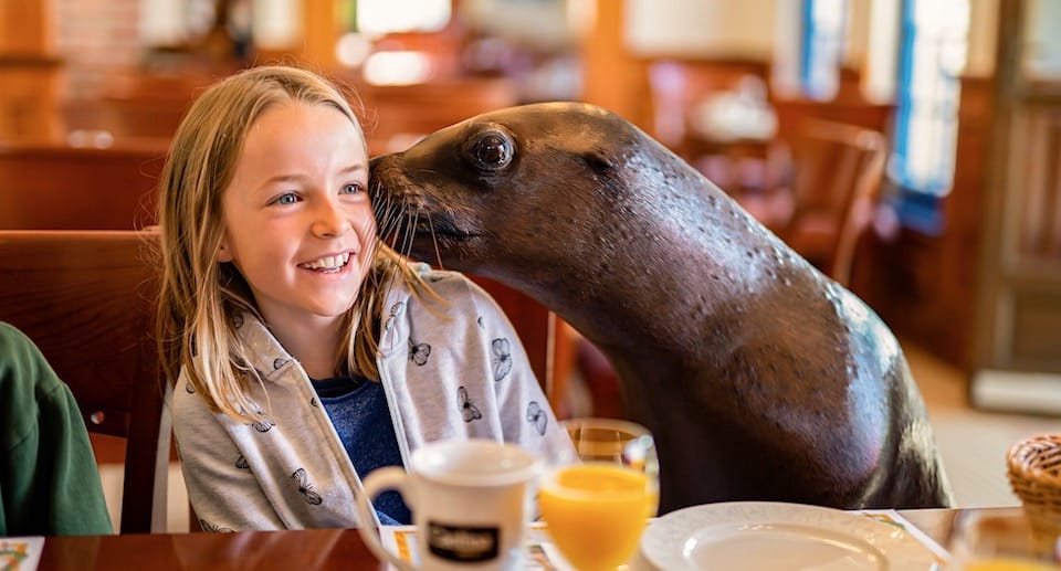 CONNY LAND Tagestickets für Kinder mit 18 Euro Rabatt