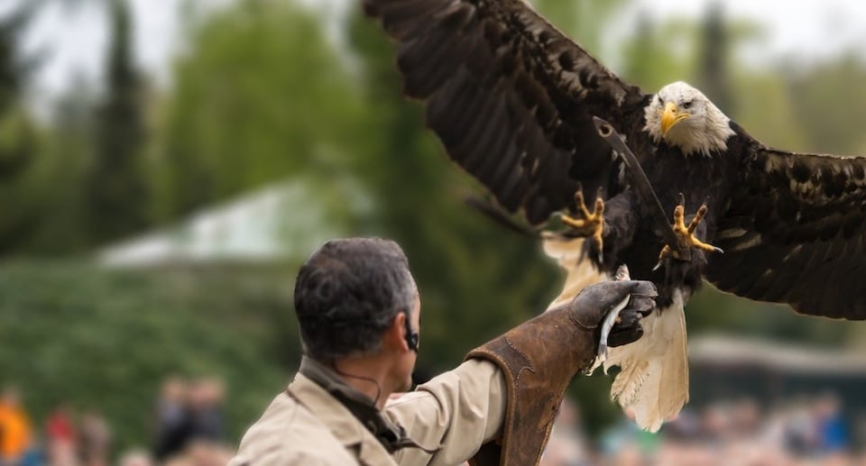 Weltvogelpark Walsrode Gutschein 2024 mit 23 Prozent Rabatt