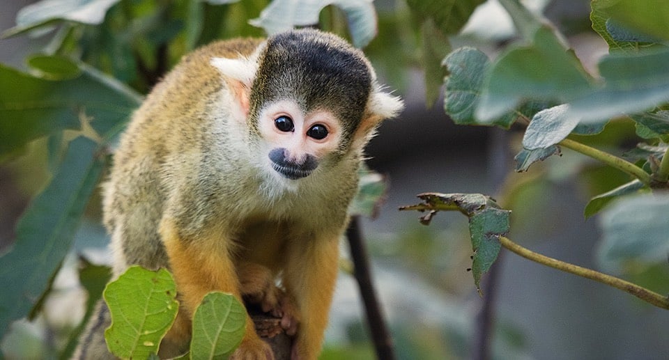 Zoo Basel Gutschein 2 für 1 Angebot