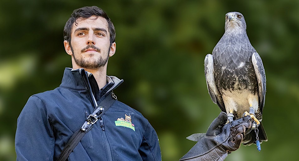 Wildpark Schwarze Berge Gutschein 2 für 1 Coupon Ticket mit Rabatt