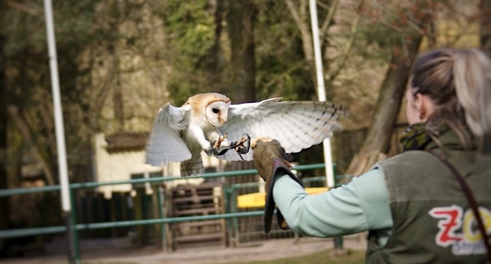 Zoo Stralsund Gutschein 2 für 1 Coupon Ticket mit Rabatt