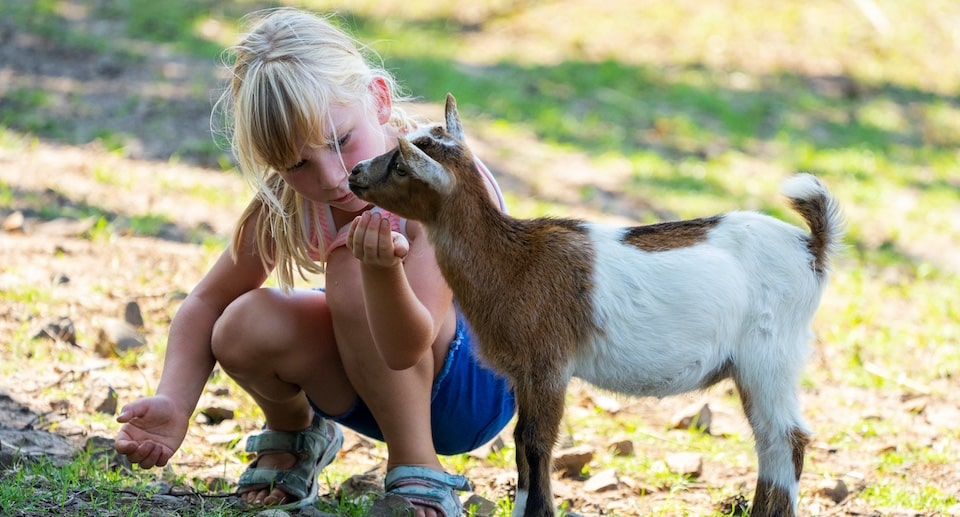 Serengeti-Park Coupon Kinder Freikarte Saison 2025