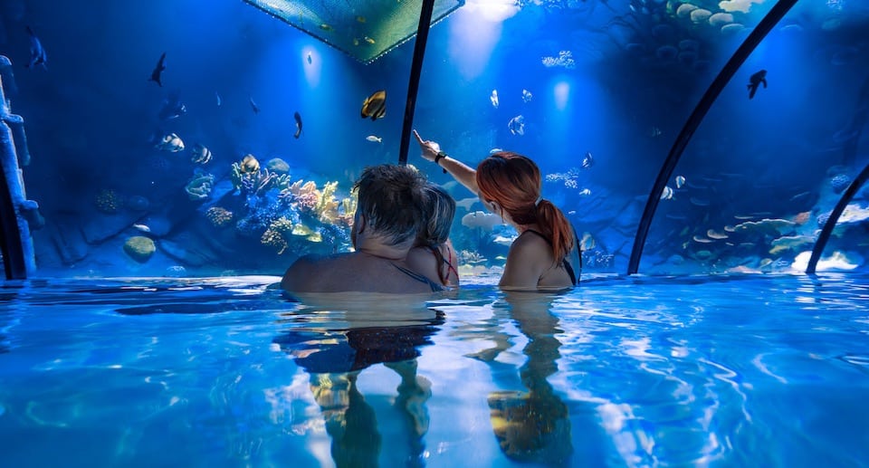 Alpentherme Gastein Swim-in-Aquarium