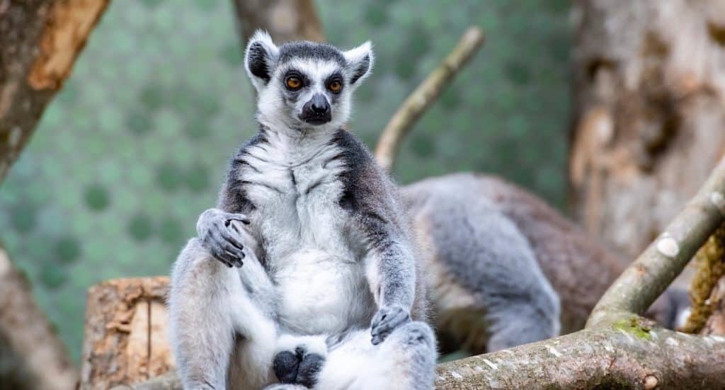 Familienpass München: Rabatte in Freizeitparks und Tierparks