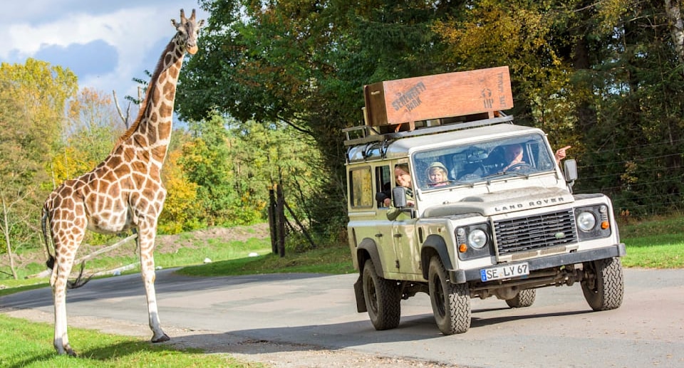 BILDplus Aktion: Serengeti-Park Freikarte Ende Mai 2025 erhältlich