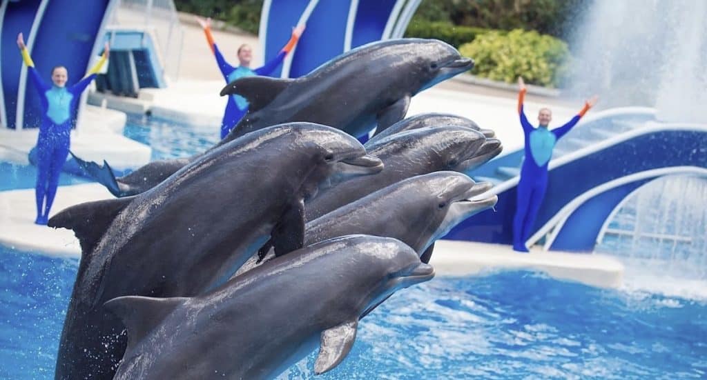 SeaWorld Abu Dhabi: Mit einem U-Boot auf Tauchfahrt