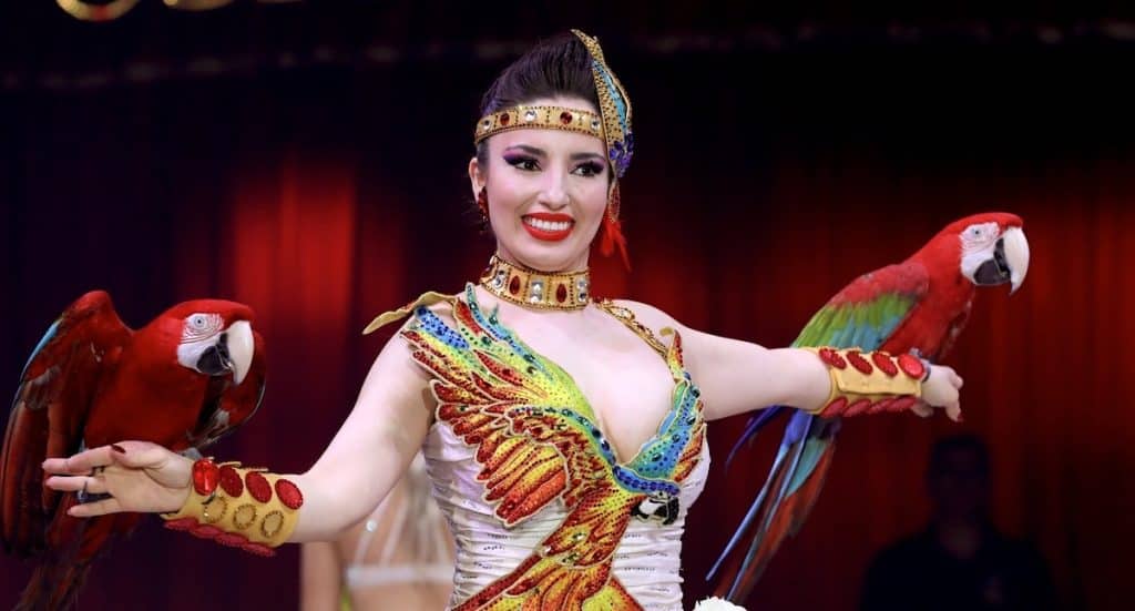 Zirkus Charles Knie Gutschein: Tickets mit 50 Prozent Rabatt