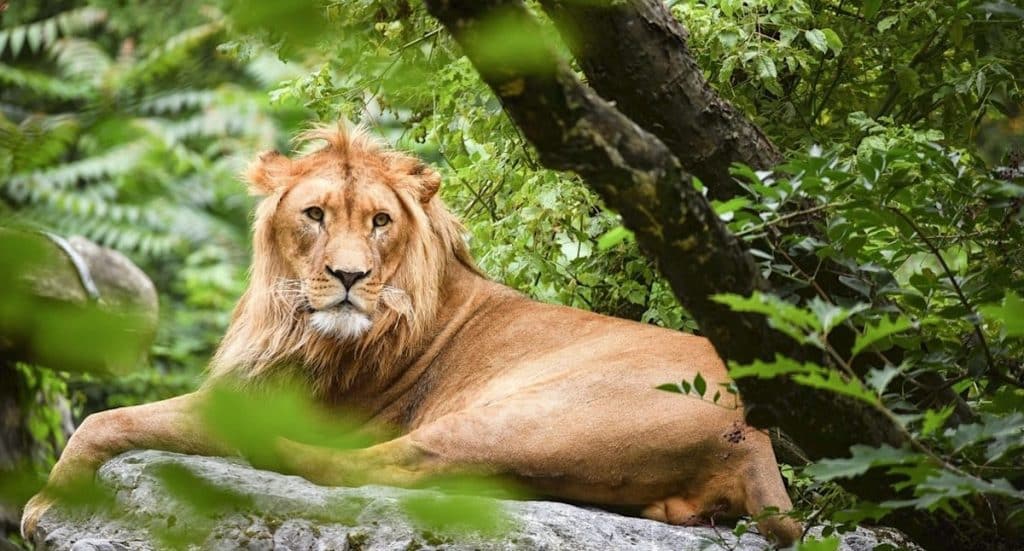 Zoo Duisburg: PV-Anlage mit 303 Modulen in Betrieb genommen