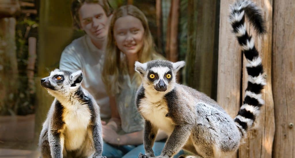 Zoom Erlebniswelt Gutschein: Tickets mit 26 Prozent Rabatt