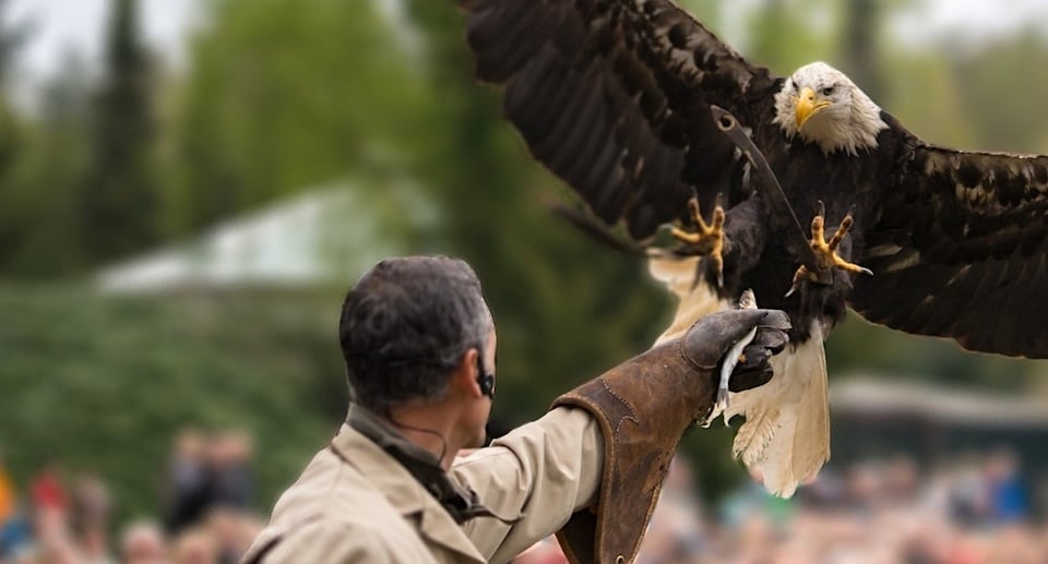 Weltvogelpark Walsrode Tickets mit 40 Prozent Rabatt